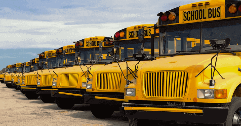 TRANSPORT/BUS